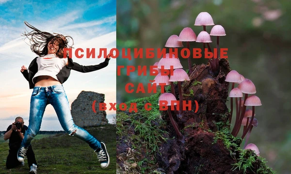 винт Зеленокумск
