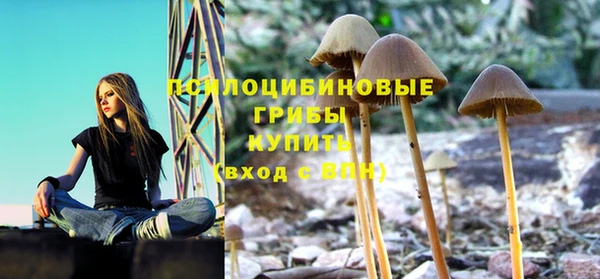 винт Зеленокумск